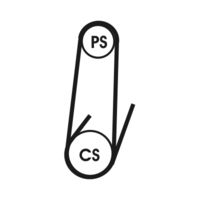 CONTINENTAL CTAM Poly V-riem (4PK1102 ELAST)