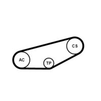 CONTINENTAL CTAM Poly V-riem set (4PK855K1)