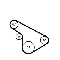 CONTINENTAL CTAM Poly V-riem set (5PK1212K1)