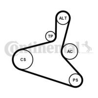 CONTINENTAL CTAM Poly V-riem set (6DPK1195K2)