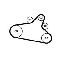 CONTINENTAL CTAM Poly V-riem set (6PK1020 EXTRA K1)