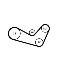 CONTINENTAL CTAM Poly V-riem set (6PK1080K1)