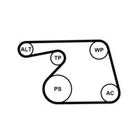 CONTINENTAL CTAM Poly V-riem set (6PK1318K2)