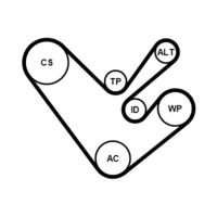 CONTINENTAL CTAM Poly V-riem set (6PK1555K4)