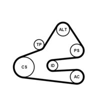 CONTINENTAL CTAM Poly V-riem set (6PK1613K1)