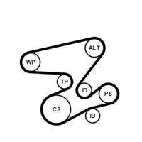 CONTINENTAL CTAM Poly V-riem set (6PK2080K1)