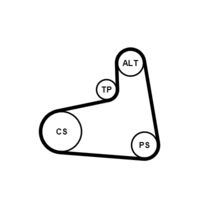 CONTINENTAL CTAM Poly V-riem set (6PK906K1)