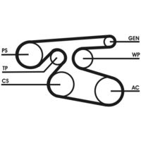 CONTINENTAL CTAM Poly V-riem (7PK2000)