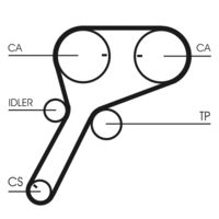 CONTINENTAL CTAM Getande riem (CT1151)