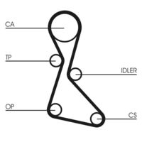 CONTINENTAL CTAM Getande riem (CT553)