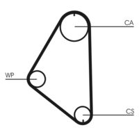 CONTINENTAL CTAM Getande riem (CT558)