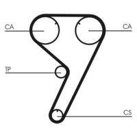 CONTINENTAL CTAM Getande riem (CT608)