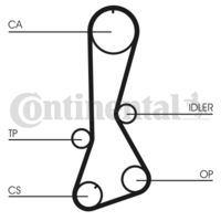 CONTINENTAL CTAM Getande riem (CT695)