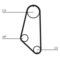 CONTINENTAL CTAM Getande riem (CT720)