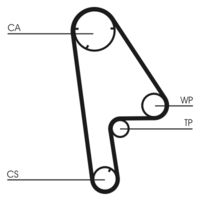 CONTINENTAL CTAM Getande riem (CT763)