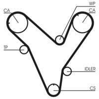 CONTINENTAL CTAM Getande riem (CT829)