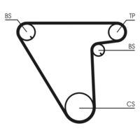 CONTINENTAL CTAM Getande riem (CT833)