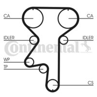 CONTINENTAL CTAM Getande riem (CT871)