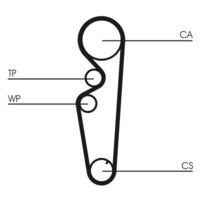 CONTINENTAL CTAM Getande riem (CT878)