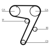 CONTINENTAL CTAM Getande riem (CT931)