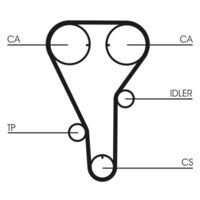 CONTINENTAL CTAM Getande riem (CT972)