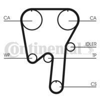 CONTINENTAL CTAM Getande riem (CT982)