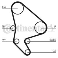 CONTINENTAL CTAM Waterpomp + distributieriem set (CT987WP2)