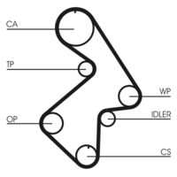 CONTINENTAL CTAM Getande riem (CT998)