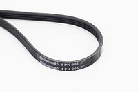 CONTINENTAL CTAM Poly V-riem (4PK905)