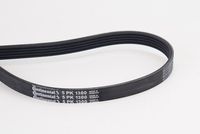 CONTINENTAL CTAM Poly V-riem (5PK1300)