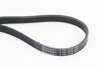 CONTINENTAL CTAM Poly V-riem (5PK1334)