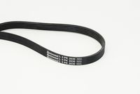 CONTINENTAL CTAM Poly V-riem (5PK2030)