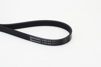 CONTINENTAL CTAM Poly V-riem (5PK875)