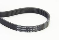 CONTINENTAL CTAM Poly V-riem (6PK1075)