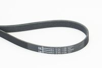 CONTINENTAL CTAM Poly V-riem (6PK1130)