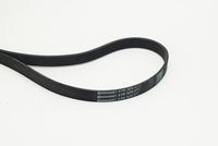 CONTINENTAL CTAM Poly V-riem (6PK1670)