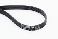 CONTINENTAL CTAM Poly V-riem (6PK1715)