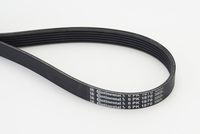 CONTINENTAL CTAM Poly V-riem (6PK1870)