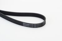 CONTINENTAL CTAM Poly V-riem (6PK1893)