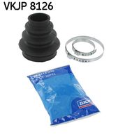 SKF Asmanchetten set (VKJP 8126)