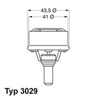 BorgWarner (Wahler) Thermostaat, koelvloeistof (3029.89)