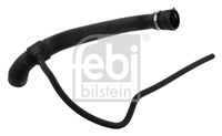 FEBI BILSTEIN Radiateurslang (36147)