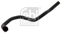 FEBI BILSTEIN Radiateurslang (45840)